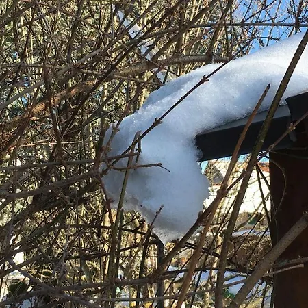 Haus Golsner Modern Retreat באד קוהלגרוב
